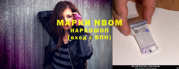 молекула духа Покров