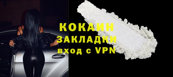 молекула духа Покров