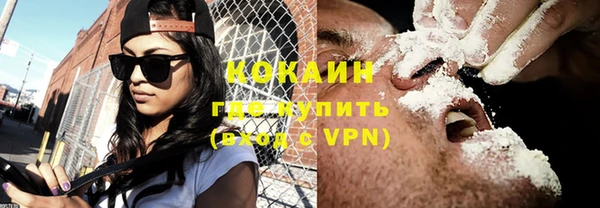 молекула духа Покров