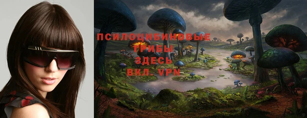apvp Малоархангельск