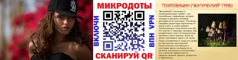 Галлюциногенные грибы мицелий  Стародуб 
